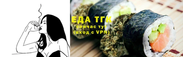 индика Елабуга