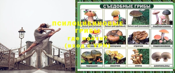 мдпв Михайлов