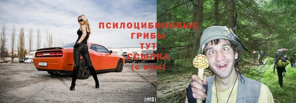 2c-b Надым