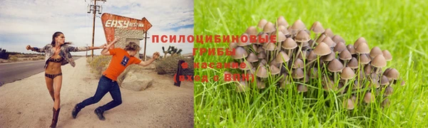2c-b Надым